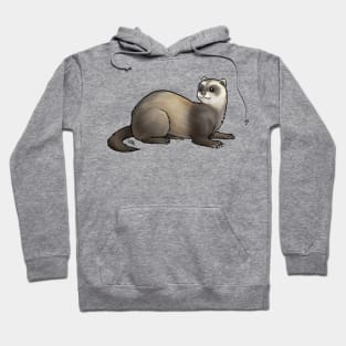 Ferret - Sable Hoodie